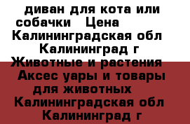 диван для кота или собачки › Цена ­ 1 000 - Калининградская обл., Калининград г. Животные и растения » Аксесcуары и товары для животных   . Калининградская обл.,Калининград г.